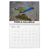 Calendrier de la vallée du requin (Feb 2026)