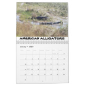 Calendrier de la vallée du requin (Jan 2027)