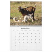 Calendrier de la vie de ferme (Feb 2027)
