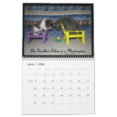 Calendrier de la vie d'un chat - avec des citation (Mar 2026)