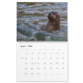 Calendrier de la vie marine (Mar 2026)