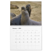 Calendrier de la vie marine (Feb 2026)