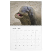 Calendrier de la vie marine (Jan 2027)
