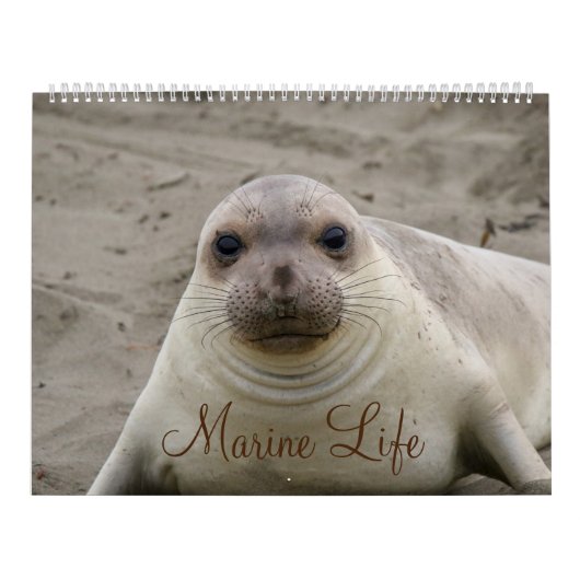 Calendrier de la vie marine (Protection)