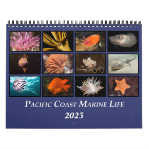 Calendrier de la vie marine de la côte Pacifique