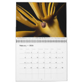 Calendrier de la vie marine de la côte Pacifique (Feb 2026)