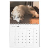 Calendrier de la vie rurale 2023 (Jan 2026)