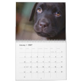 Calendrier de Labrador (Jan 2027)