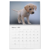Calendrier de Labrador (Feb 2027)