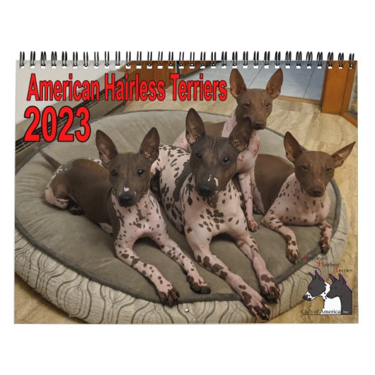 Calendrier de l'AHTCA 2023 American Hairless Terri (Protection)