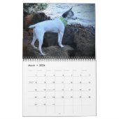 Calendrier de l'AHTCA 2023 American Hairless Terri (Mar 2026)