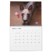 Calendrier de l'AHTCA 2023 American Hairless Terri (Feb 2026)