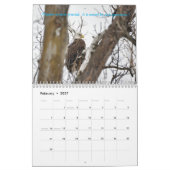 Calendrier de l'aigle (Feb 2027)