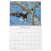Calendrier de l'aigle d'hiver 2012 (Feb 2027)