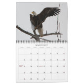 Calendrier de l'aigle d'hiver 2012 (Mar 2027)