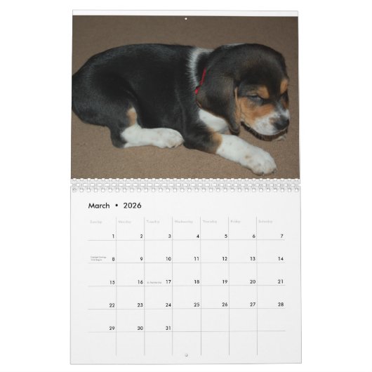 Calendrier de l'amour Beagle (Mar 2026)