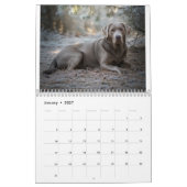 Calendrier de l'amour Labrador (Jan 2027)