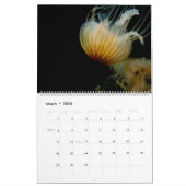 Calendrier de l'animal d'Orchidelique 2017 (Mar 2026)