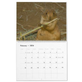 Calendrier de l'animal d'Orchidelique 2017 (Feb 2026)