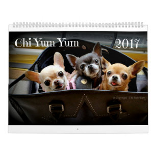 Calendrier de l'année Chi Yum 2017