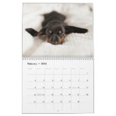 Calendrier de l'année personnalisée Dachshund (Feb 2026)