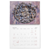 Calendrier de l'apiculture 2025-2026 (Jan 2027)