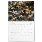 Calendrier de l'apiculture 2025-2026 (Feb 2027)