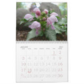 Calendrier de l'artiste 2017 (Jan 2027)