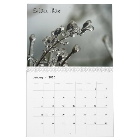 Calendrier de lavage d'état (Jan 2026)