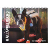 Calendrier de l'écho 2013 de Halloween (Protection)