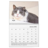 Calendrier de l'endroit du chat tigré (Jan 2026)