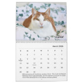Calendrier de l'endroit du chat tigré (Mar 2026)