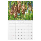 Calendrier de l'enseignant saisons cadeaux saisonn (Jan 2027)