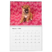 Calendrier de l'équipe K (Feb 2026)