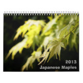 Calendrier de l'érable japonais (Protection)