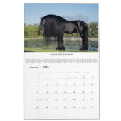 Calendrier de l'étalon friésien par moments Par Lo (Jan 2026)