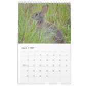 Calendrier de l'île de Sanibel 2023 (Mar 2027)