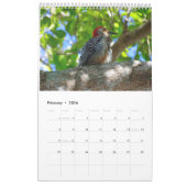 Calendrier de l'île de Sanibel 2023 (Feb 2026)