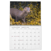 Calendrier de l'île de Vancouver 2026 (Mar 2026)