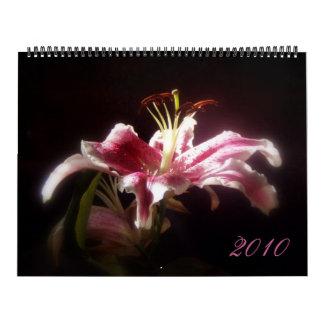 Calendrier de lis d'astronome