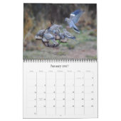Calendrier de l'observation des oiseaux de triage (Jan 2027)