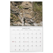 Calendrier de l'or de Cinbud (Mar 2027)