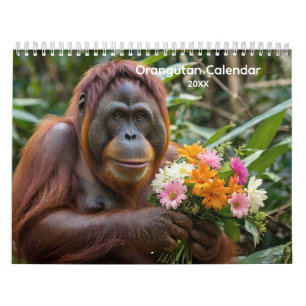 Calendrier de l'Orangoutan forestier