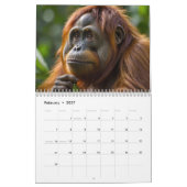 Calendrier de l'Orangoutan forestier (Feb 2027)