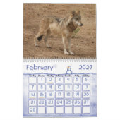 Calendrier de loup gris de loups (Feb 2027)