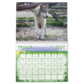 Calendrier de loup gris de loups (Mar 2027)