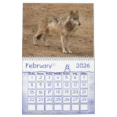 Calendrier de loup gris de loups (Feb 2026)