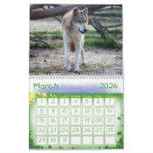 Calendrier de loup gris de loups (Mar 2026)