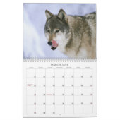 Calendrier de loups (Mar 2026)