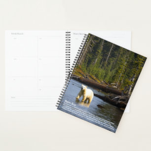 Calendrier de l'ours spirituel